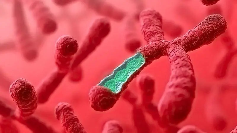 杭州試管供卵 杭州美中宜和輸卵管造影,做輸卵管復(fù)通手術(shù)和做試管嬰兒哪種的好, ‘孕38周懷男孩最準(zhǔn)特征’