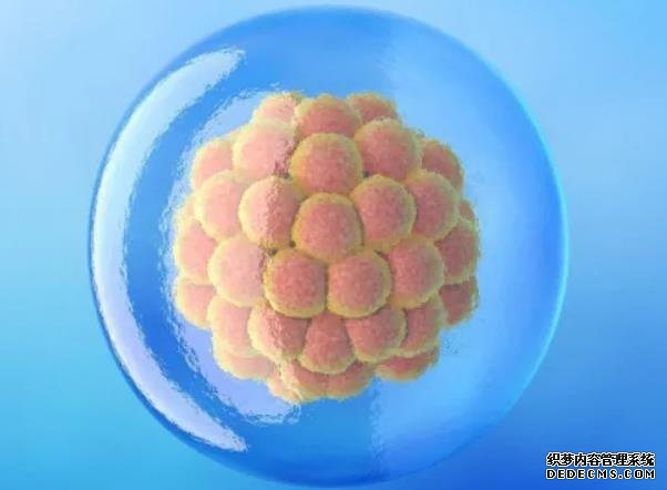 江蘇供卵試管資訊 修正后：江蘇省人口與計劃生育條例解讀 ‘b超雙側腎盂分離是男孩女孩’