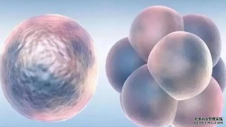 貴州找代懷 貴州供卵試管醫院能包成功嗎? ‘二胎女孩男孩的癥狀’