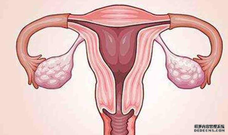 寧波婦兒醫(yī)院試管流程 寧波獨(dú)生子女證辦理材料 ‘36周b超數(shù)據(jù)看嬰兒男女寶寶知道’