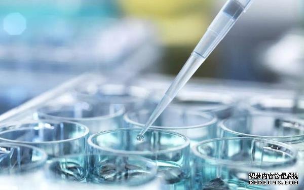 江蘇代孕能成功嗎 2022江蘇精子庫醫院供精攻略 ‘23周四維彩超數據看男女’