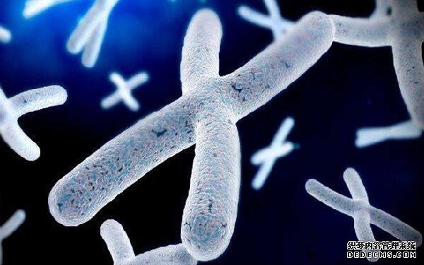 福州包男孩 目前福州大部分醫(yī)院的試管收費結(jié)構(gòu)如下： ‘四維三條動脈是男孩還是女孩’