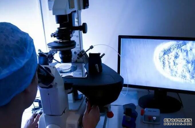 海口試管 供精 海口市婦幼保健院試管嬰兒成功率參考 ‘香港驗血準還是b超準查男女’