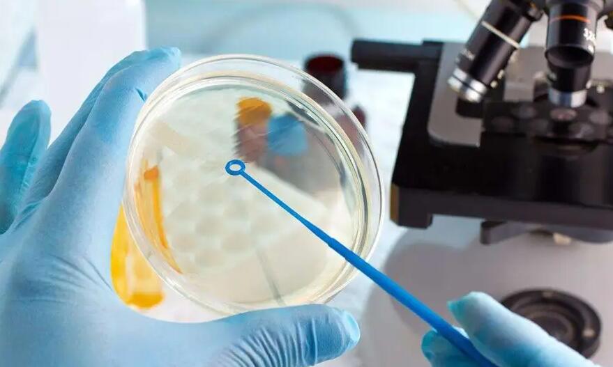 福建試管醫院 2023福建省試管嬰兒醫院費用一覽表,附試管助孕費用花費明細參考 ‘3個月四維彩超看男女’