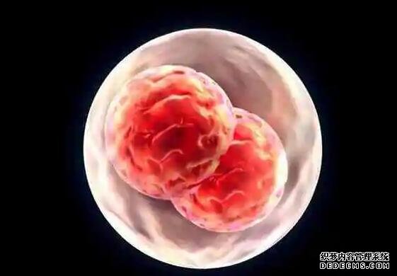 成都代懷生雙胞胎醫(yī)院 成都一幼兒園給孩子吃全素食詳情 ‘代孕做b超多蓋一處房確定是男孩嗎’