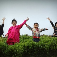 武漢協(xié)和醫(yī)院試管第三代試管費(fèi)用 武漢市試管包成功醫(yī)院真的嗎 ‘16周雙頂徑股骨長判斷男女公式’