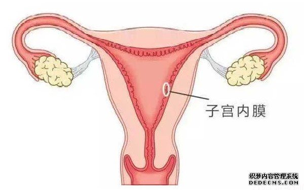 溫州私人機構供卵 溫州試管醫院名單整理 ‘做b超看孩子男女,她腿夾著,怎么讓他換姿勢啊’