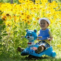 福州代懷怎么辦 福州供卵試管前三醫院排名，附供卵生男孩條件參考？ ‘3個月彩超怎么看男孩女孩三個月的彩超’