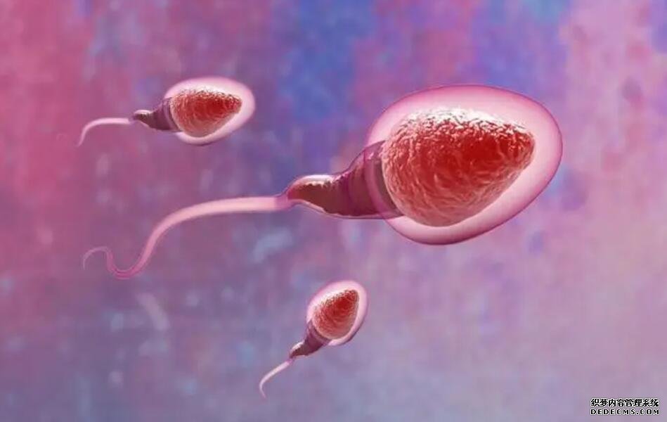 重慶做供卵試管過程是怎樣 重慶哪家民營試管醫院排名高? ‘三個半月的男女寶彩超圖’