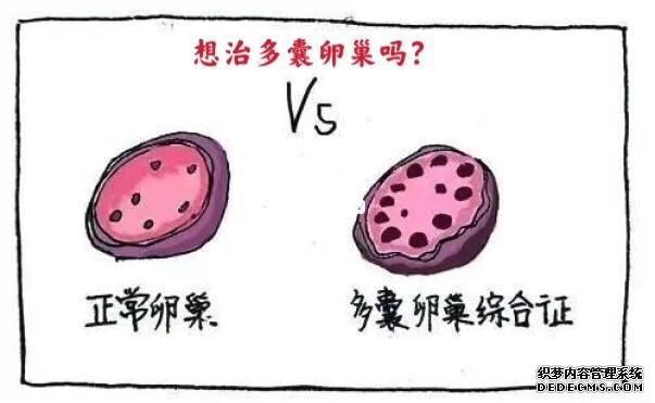 如何知道自己有沒有hpv！2023最新癥狀、檢查、自檢準確對比