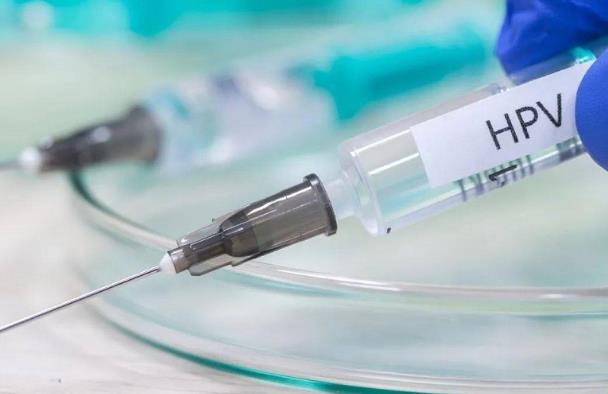 石家莊墮胎多少錢石家莊港大在哪里 石家莊供精試管費用 ‘nt能看男女’