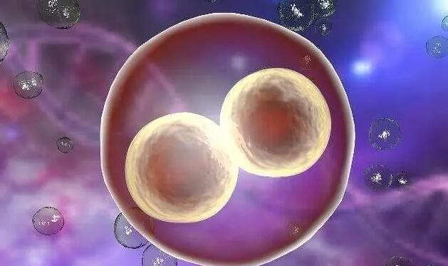 海口代懷花多少錢 海口試管醫(yī)院技術(shù)介紹清單: ‘23x35x12孕囊是男孩女孩’