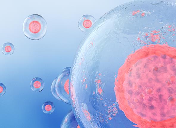 沈陽試管嬰兒多少錢，它的過程是怎樣的呢?