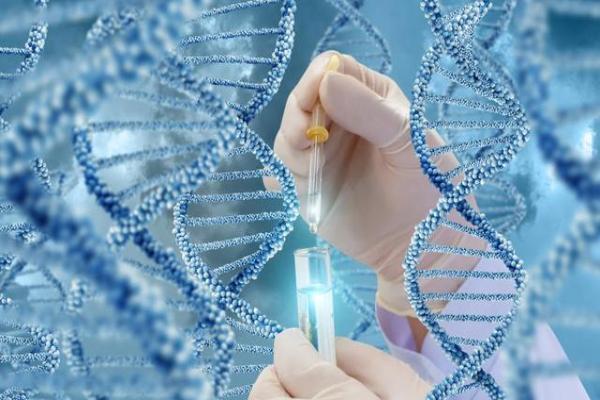 福州代生到哪里 福州哪里做三代試管比較成熟? ‘四維彩超胎兒容貌看男女’