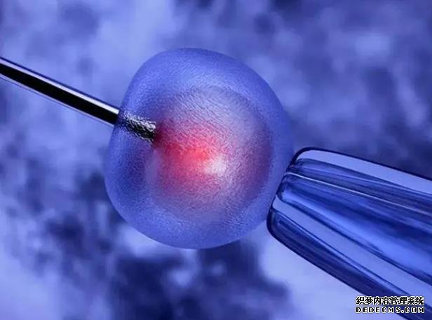 當前試管嬰兒面臨的問題——熱議