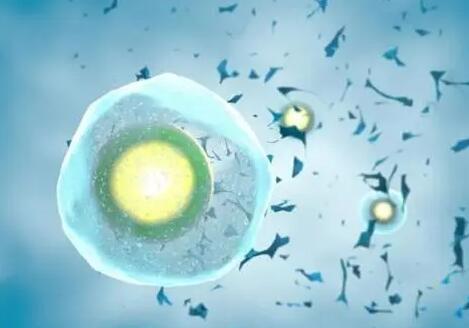 深圳做供卵試管 【2023試管公開】：深圳婦幼做三代試管一個周期多少錢？ ‘b超看性別男性好看點還是女性’