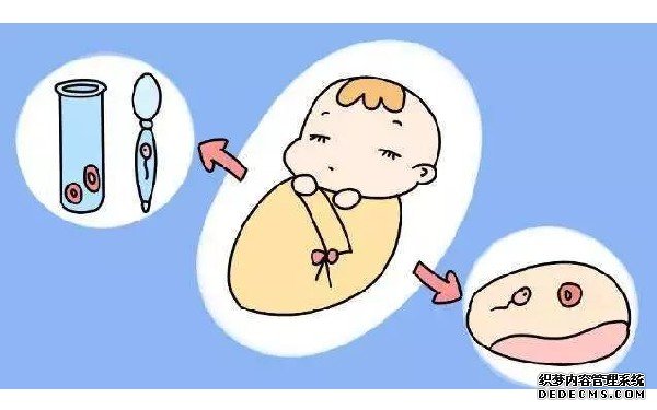 北京供卵試管資訊 在北京哪里做試管嬰兒最好？盤點那些成功率高的京都醫院 ‘孕18周b超如何辨別男胎’