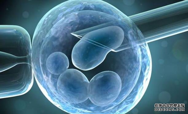 廣東供卵試管聯(lián)系方式 2022廣東武警醫(yī)院試管嬰兒費(fèi)用明細(xì) ‘孕囊2.6*2.2,胎芽0.7是男孩女孩’