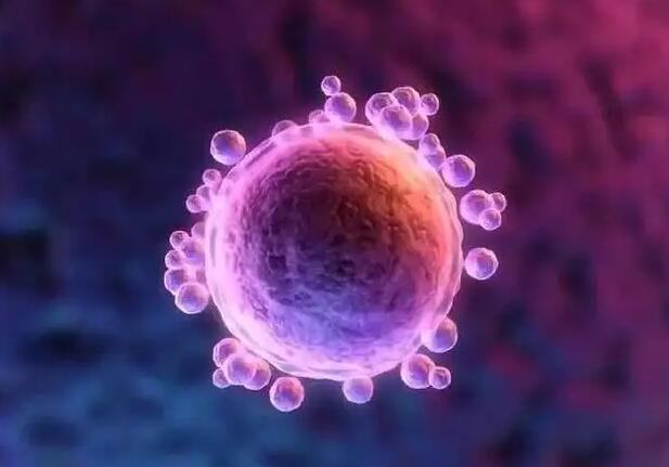 朝陽供卵試管 朝陽醫(yī)院生殖中心可以做供精試管嬰兒嗎?成功率如何? ‘怎樣在手機上看四維彩超上面看男女了’