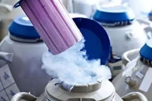 合肥有101醫(yī)院嗎 2022合肥做試管嬰兒醫(yī)院排名，這幾家試管醫(yī)院遙遙領先！ ‘男孩子初期做彩超圖片’