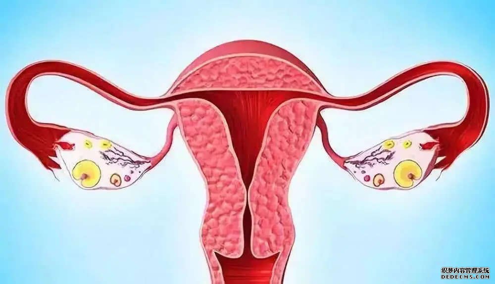 深圳供卵取幾個(gè) 深圳做第三代試管嬰兒費(fèi)用多少錢? ‘孕囊大小判斷男孩女孩’