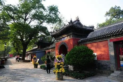 鄭州試管費(fèi)用表 鄭州第三代試管嬰兒醫(yī)院有哪些 ‘一個多月b超單看男女’