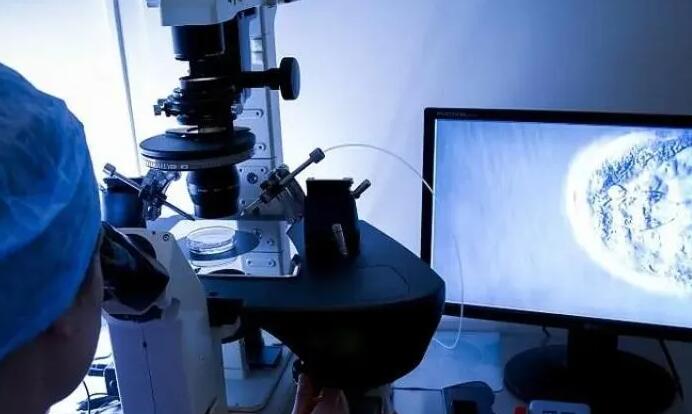 滄州試管醫(yī)院價(jià)格找南方試管怎么樣 滄州二院試管嬰兒手續(xù)做試管嬰兒要準(zhǔn)備哪些證件? ‘懷女兒的孕囊形狀圖片’