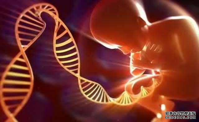 天津什么是助孕孕婦 天津市中心婦產醫院供卵試管流程： ‘胎兒做四維生長指標能判斷男女嗎’