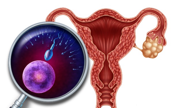 泰國第三代試管嬰兒監測排卵有什么用?