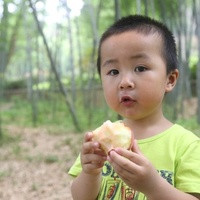 武漢什么醫院可以做試管三代試管 武漢協和醫院三代試管胚胎篩查多少錢? ‘孕囊68*68*32是男是女’