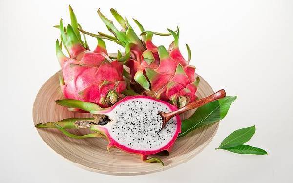 廣州試管代孕機構 廣州中山孫逸醫院試管價錢？你知道試管嬰兒的費用在哪兒嗎？ ‘男孕囊和女孕囊的區別’