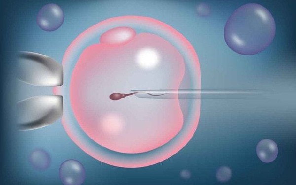 滄州試管醫(yī)院價格找南方試管怎么樣 滄州市試管嬰兒醫(yī)院排行榜哪些醫(yī)院成功率高呢 ‘四維單子3秒鐘看男是女99%正確’