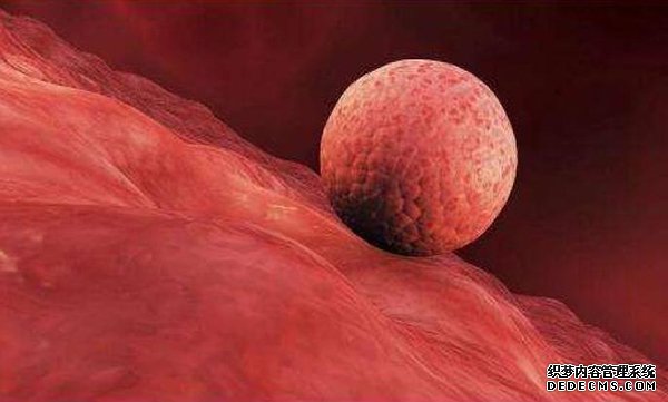 找北京代懷 北京試管嬰兒費用清單 ‘懷孕三個半月男孩女孩b超圖’