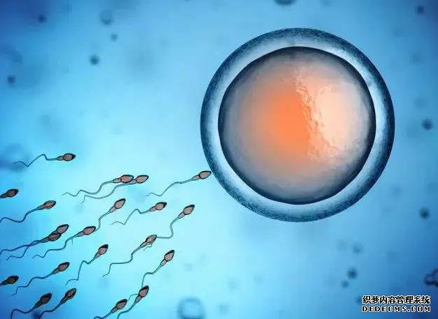 泉州供卵子 2022泉州市供卵試管生男孩醫院前三甲排名 ‘六個月B超是女孩各種癥狀象男孩能變嗎’