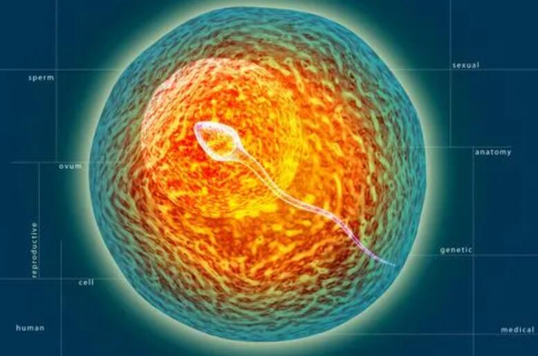 貴陽三代試管嬰兒醫(yī)院哪個最好？