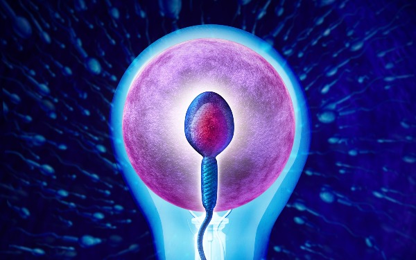 重慶那里有做供卵試管的 2022重慶可以做第三代試管嬰兒生男孩嗎? ‘nt值越大生男孩幾率越大嗎’