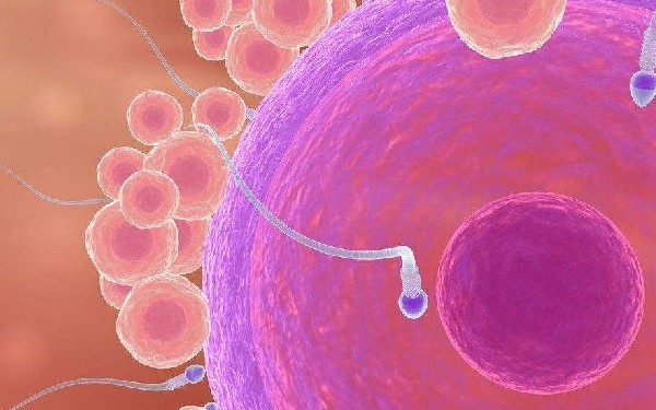 湛江供卵試管 最新湛江試管嬰兒醫院排名 ‘孕囊17×15mm是男女’