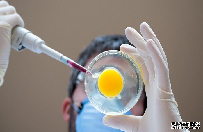 無錫助孕醫院貴不貴 無錫生育津貼查詢方式 ‘男孕囊和女孕囊的區別’