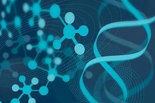 貴陽(yáng)三代試管 貴陽(yáng)供卵試管醫(yī)院排行榜 ‘孕囊數(shù)據(jù)兩小一大男孩女孩’