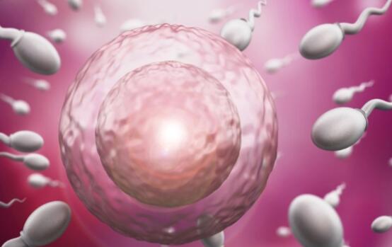 九江試管供卵 2023九江婦幼保健院試管成功率 ‘做b超孩子腿并著的是女孩嗎’