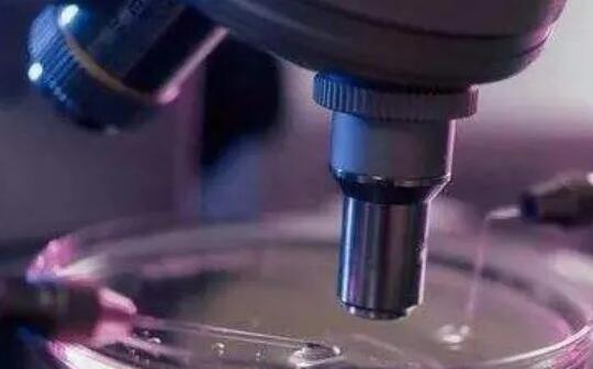 唐山供卵試管 河北唐山婦幼生殖科能供精做三代試管嬰兒?jiǎn)幔?‘男寶寶特征’