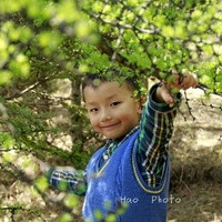 2022年河南農村生三胎補貼多少錢一個月 2022河南省私立助孕機構名單大全，附試管費用和成功率預估 ‘胎囊孕期特征說明你懷了男寶寶’