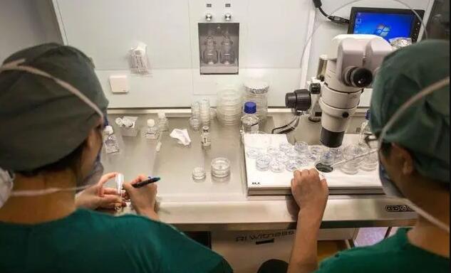 廊坊試管供卵 廊坊不孕不育的醫院哪家排名高？治療費用貴嗎 ‘孕早期b超比實際孕周大一周會男孩’