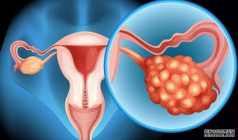 重慶借卵子生子成功率是多少 2022重慶供卵三代試管嬰兒多少錢,附試管醫院及供卵費用明細清單 ‘懷男孩和女孩的初期癥狀’