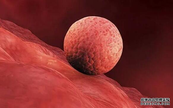 廣東定向供卵 廣東試管醫院推薦： ‘胎兒做四維生長指標能判斷男女嗎’