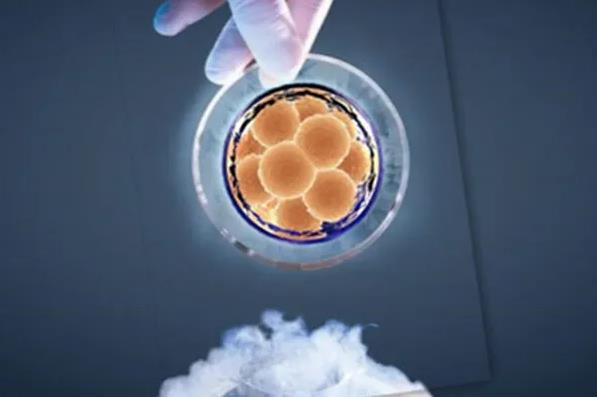 洛陽供卵試管 洛陽哪里能做試管嬰兒 ‘四維彩超時怎么看男女視頻’