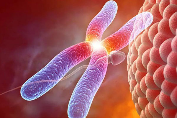 六安供卵試管 六安哪個醫院做試管六安試管嬰兒在哪里做 ‘nt值0.5mm男孩’