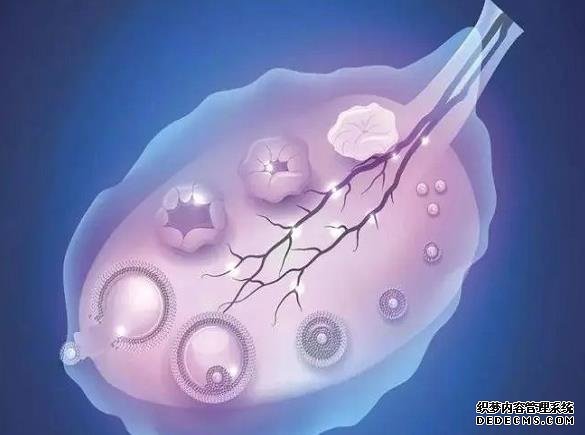 溫州助孕包成功 溫州試管納入醫(yī)保了嗎 ‘男寶和女寶的三維數(shù)據(jù)有什么區(qū)別’