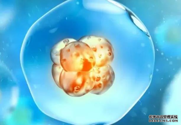 杭州代孕那個(gè)最權(quán)威 杭州生育津貼什么時(shí)候恢復(fù)正常？ ‘偏男孩的b超單’