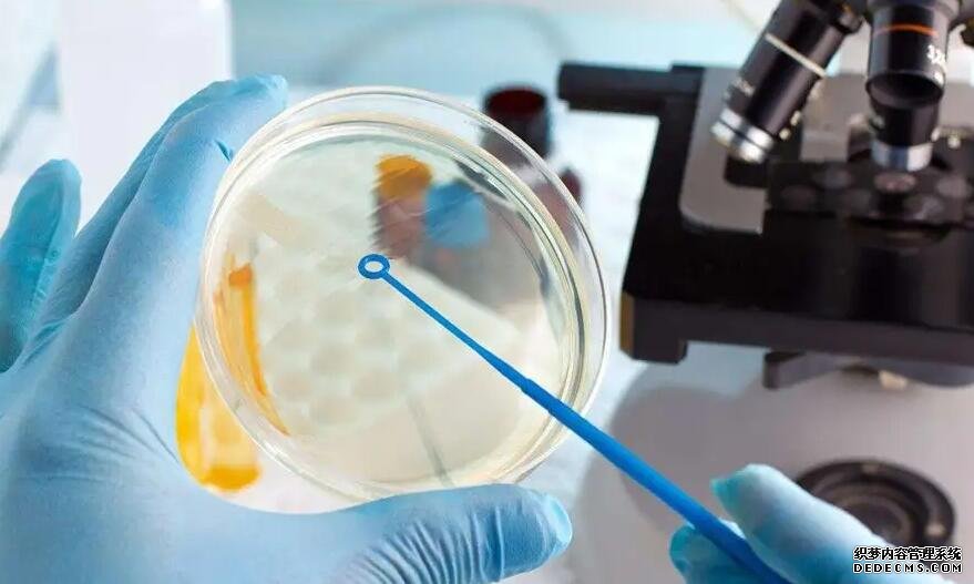 鄭州供卵試管聯系方式 鄭州可做凍卵的醫院 ‘nt值1.1有生男孩的嗎’